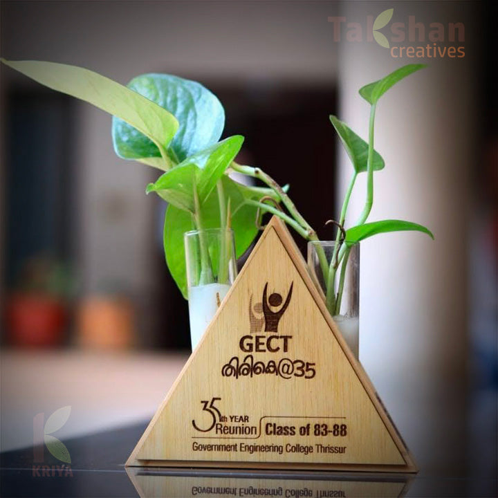 A triangle shaped wooden stand containing two test tubes with live money plant and branded with custom company logo of GECT