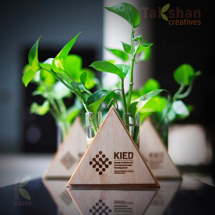 A triangle shaped wooden stand containing two test tubes with live money plant and branded with custom company logo of KIED