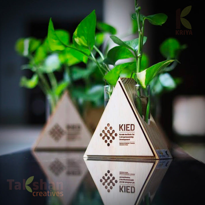 A triangle shaped wooden stand containing two test tubes with live money plant and branded with custom company logo of KIED