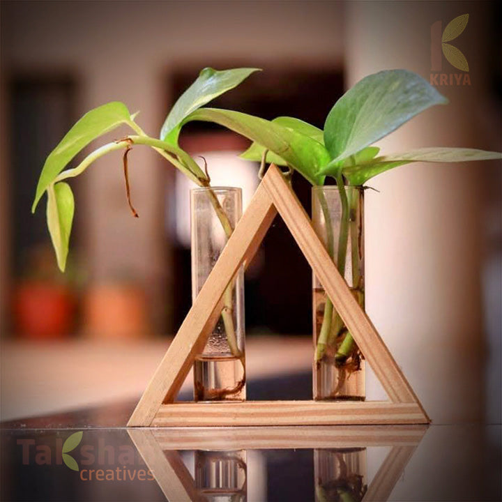 A triangle shaped wooden stand containing two test tubes with live money plant