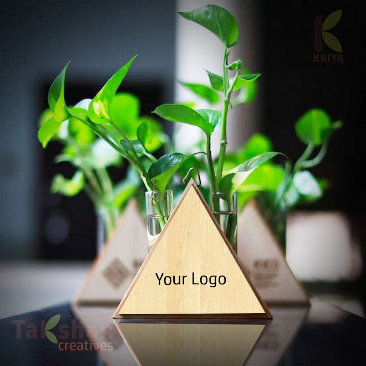 A triangle shaped wooden stand containing two test tubes with live money plant and a writing on the front portion saying your logo