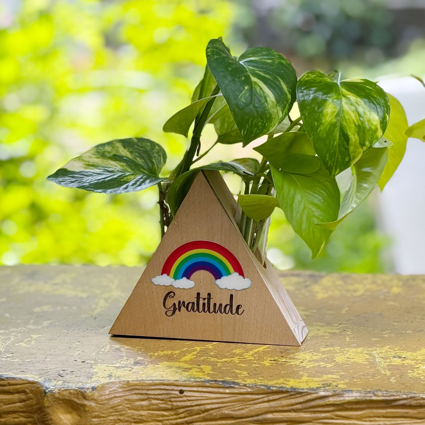 Gratitude Desk Planter - Triangle