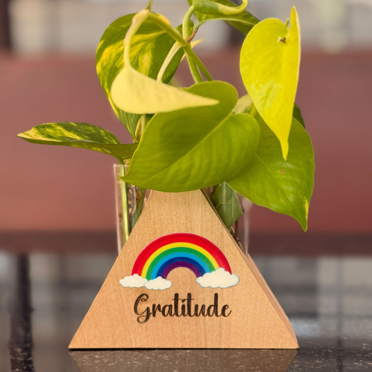 Gratitude Desk Planter - Triangle