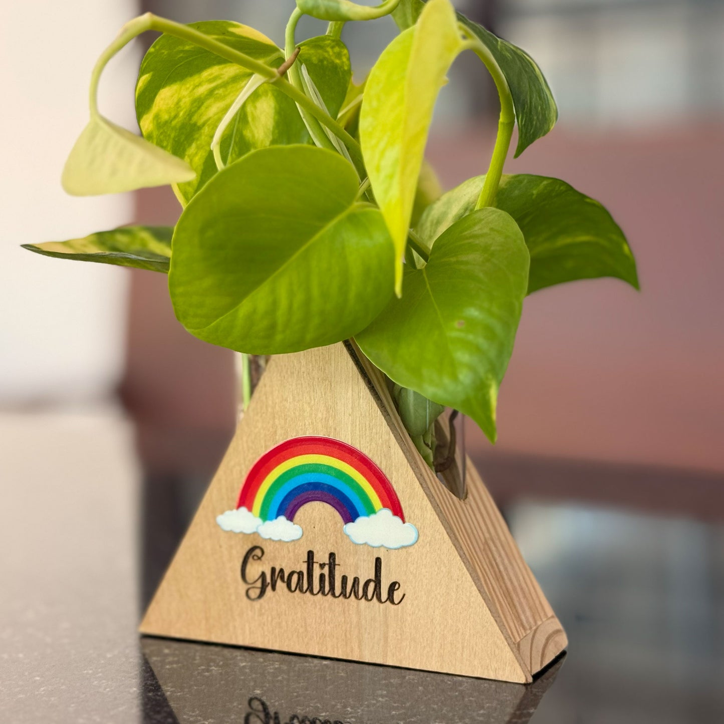 Gratitude Desk Planter - Triangle