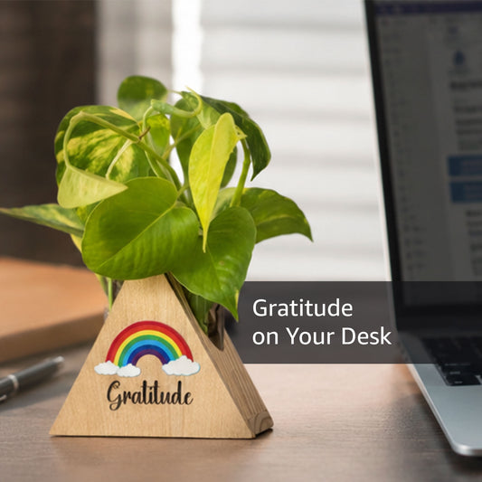 Gratitude Desk Planter - Triangle
