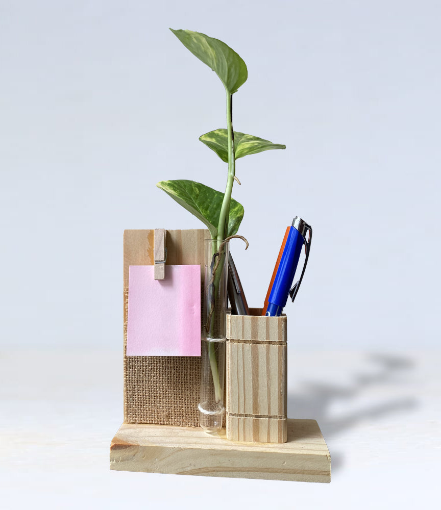 Front view of a wooden pen stand for holding pens and a wooden clip holding notes. A test tube with live money plant is attached to the pen holder with 2 strings.