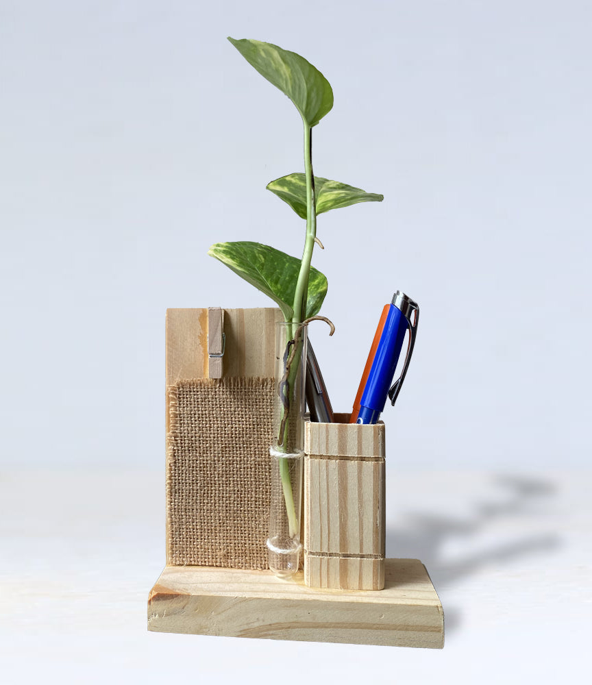 Front view of a wooden pen stand for holding pens and a wooden clip for holding notes. A test tube with live money plant is attached to the pen holder with 2 strings.